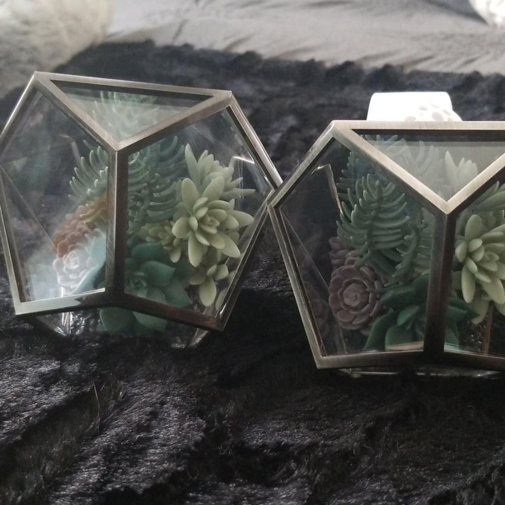 Set of Wallflowers